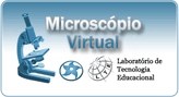Virtual Microscope