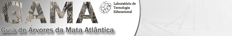 Logotipo