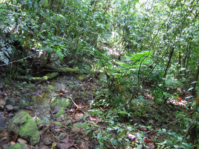 interior_da_mata
