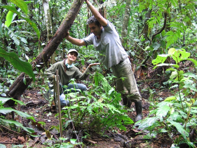 trabalho_de_campo