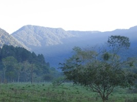 vista_geral_da_area_de_estudo